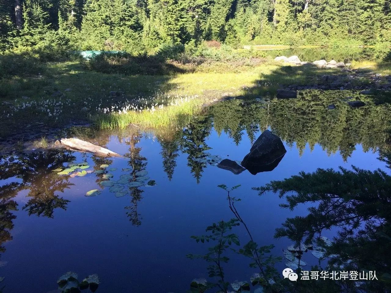  岭东暴熊队对阵江畔雪豹队，冲浪公开赛击败，细节决定成败——